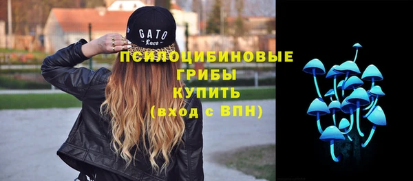 Альфа ПВП Елабуга