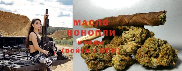 экстази Ельня