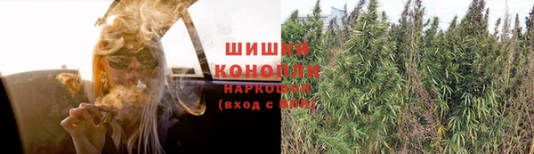 экстази Ельня