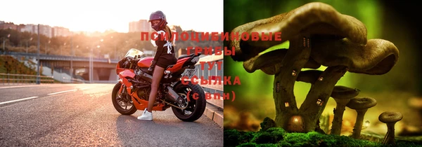 альфа пвп Дмитриев
